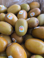 Zespri&trade; SunGold Kiwifruit, , large