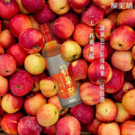 【釀美舖 】 天然古法無糖純醋-蘋果醋 250ml   調理/養生/健康飲食/送禮, , large