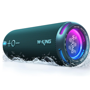 W-KING D320 40W 