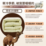 【多利寶寢具】INDIAN_駱駝羊毛絨被/棉被胎, , large