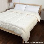 【卓瑩官方直營】奈米遠紅外線發熱被胎｜6×7呎（被芯）, , large