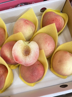 Ruby White Peach, , large