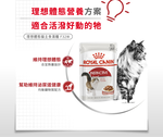 Royal Canin, , large