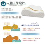 【多利寶寢具】Victoria_釋壓記憶枕(1顆), , large