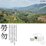 ★真的貓山王!!!★【D.MASKING榴槤大哥】全台唯一馬來西亞官方認證&rarr;勞勿冷凍貓山王榴槤 400g_4盒, , large