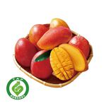Awin Mango, , large