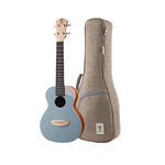 instrument, , large