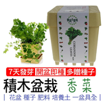 【心安購物】iPlant積木盆栽-香菜, , large