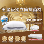 【多利寶寢具】Victoria_五星級獨立筒抗菌枕, , large