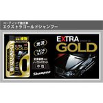 Treatment Shampoo For Coated Cars - EXTRA GOLD, , large