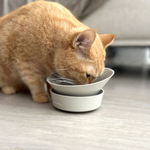 [HhL] MASTER BOWL-Ant-Proof Pet Bowl / Two Bowl (G+G), , large