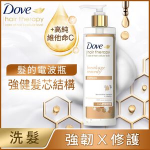 DOVE HAIR THERAPY BREAKAGE REMEDY SH