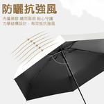 umbrella, , large