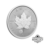 [皇家典藏] Canadian Mint 2024加拿大-楓葉-龍標記版-1盎司銀幣(普鑄)(卡裝)(首發版), , large