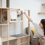 【paipaipets】Bien Bien Cat Tree - Delux, , large
