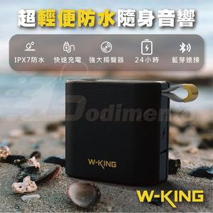 W-KING D2
