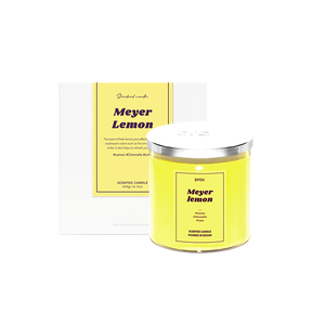 PRAY Classic Candle-  Meyer Lemon