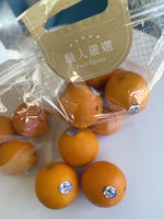 Navel Orange, , large