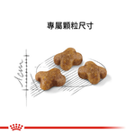 【拉拉寵物小舖】法國皇家 貓飼料 K36 幼貓專用乾糧 10公斤, , large