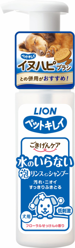 lion, , large