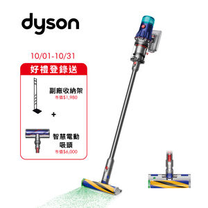 Dyson V12 SV46 Detect Slim Fluffy
