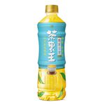 Green Tea With Gyokuro Sugar Free Drink, , large