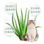 【寵愛生活本舖】kojima寵物去淚痕專用濕紙巾120片 犬貓可用, , large