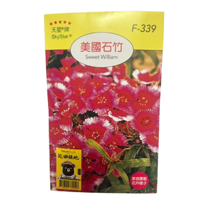 【向花緣】天星牌 美國石竹 - 花卉種子