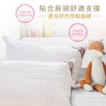 【吉梵尼 范侖鐵諾】台灣製造 石墨烯遠紅外線健康枕 石墨烯枕2入, , large