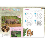 Play&LEARN, , large