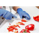 蓋瑞廚物【SANELLI AntikCut 食品級防切手套 達最高防切規格 等級5級 】 防割手套 防切手套 歐洲製, , large