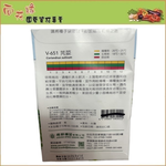 【向花緣】天星牌 芫荽 - 蔬菜種子, , large