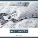【帕瑪PAMA】60S 100%天絲兩用被床包組/ 單人/朱實裊裊, , large