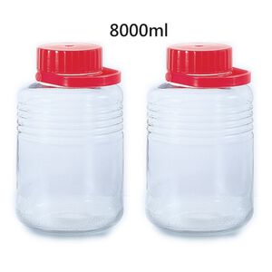 ADERIA 日本製梅酒罐-8000ml 2入組  附好提拿把手 金益合玻璃器皿
