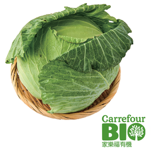 CFBIO Cabbage