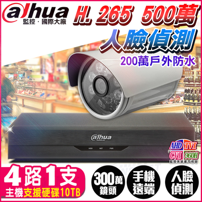 【帝網KingNet】大華 4路1支 1080P 紅外線夜視 H.265 監控套餐 5MP 500萬 主機