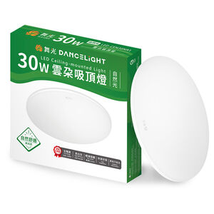 30W LED Ceiling-mounted Light
