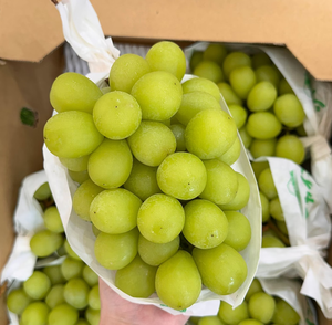 Yamanashi, Japan (Shine Muscat Grapes)