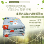 【多利寶寢具】Victoria_玻尿酸可水洗纖維被/棉被胎, , large