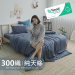 BUHO 素面文青300織100%TENCEL™純天絲床包兩用被四件組-雙人特大-(多款任選), , large
