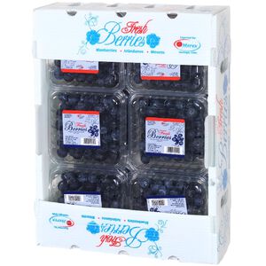 【限時預購】祕魯藍莓( 每箱12盒/每盒約125克)