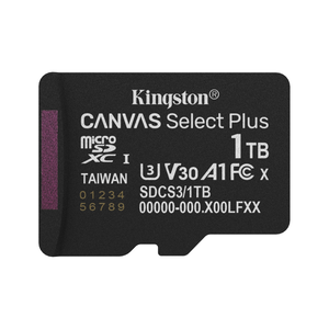 Kingston microSD Card