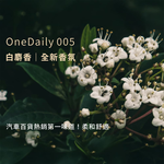 [萬摩科技]Onedaily 香氛塊(兩入組)-白麝香, , large