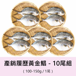 Snubnose Pompano, , large