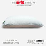 金德恩 GS MALL 台灣製造 一入 頂級可水洗羽絲絨枕 47x75cm 水洗枕 透氣枕 柔軟枕 羽絲絨枕 枕頭 寢具 羽絨枕, , large