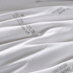 【Betrise】antibacterial upgrade German silver ion anti-bacterial 100% natural handmade long fiber silk quilt (Double 6x7 feet), , large
