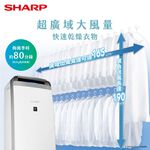 SHARP 18L Grade 1 Automatic Sterilizing Ion Clothes Dryer Mold-Resistant Dehumidifier DW-K18HT-S Star Silver, , large