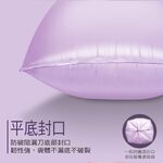 家簡塵除香氛清潔袋 小, 薰衣草, large