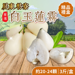 【家購網嚴選】屏東枋寮白玉蓮霧 3斤 (20~24顆/盒), , large