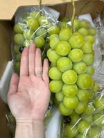 Japanese Shine Muscat Grapes, , large